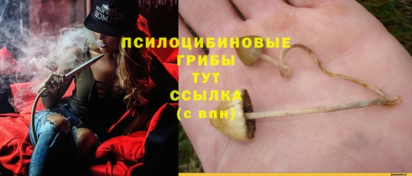 мяу мяу мука Алзамай
