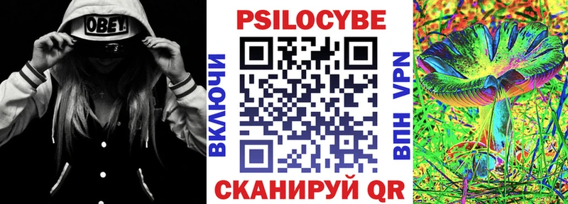 Галлюциногенные грибы GOLDEN TEACHER  ОМГ ОМГ маркетплейс  Боготол 